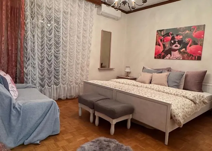 Apartament Carolos' House *